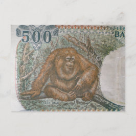 Postal Rare Orangutan Limited Edition