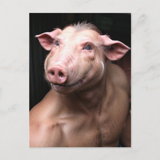 Postal Raro Cerdo Humano Híbrido (Anverso)