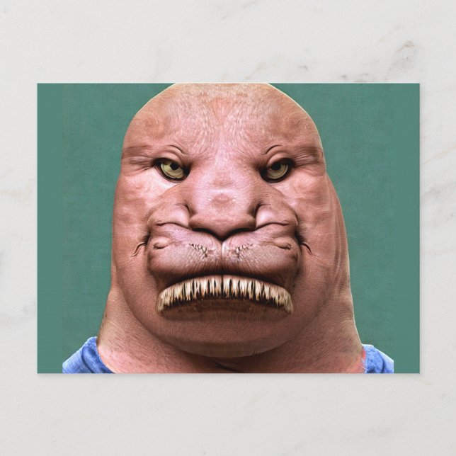 Postal Raro Sr. Walrus Postcard (Anverso)
