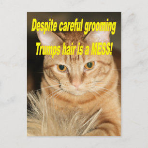 Postal Raro viejo Trump