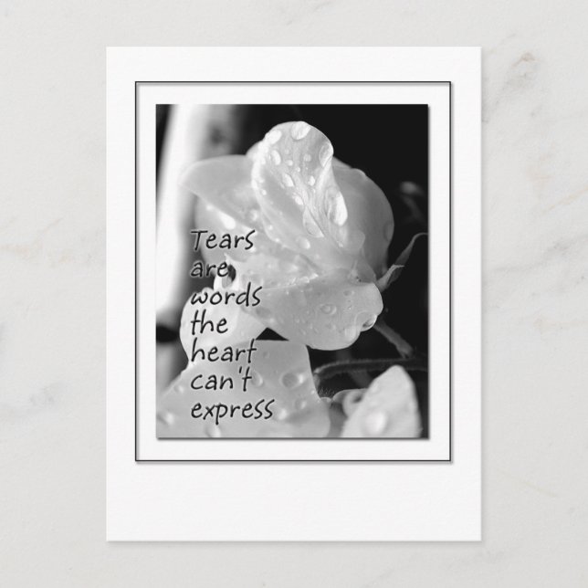 Postal Rasgones (Anverso)