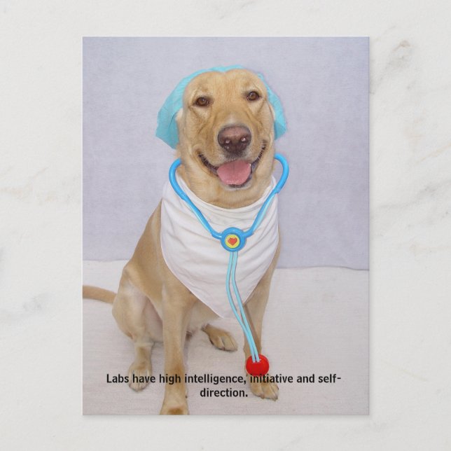 Postal Rasgos de laboratorio - Alta inteligencia (Anverso)