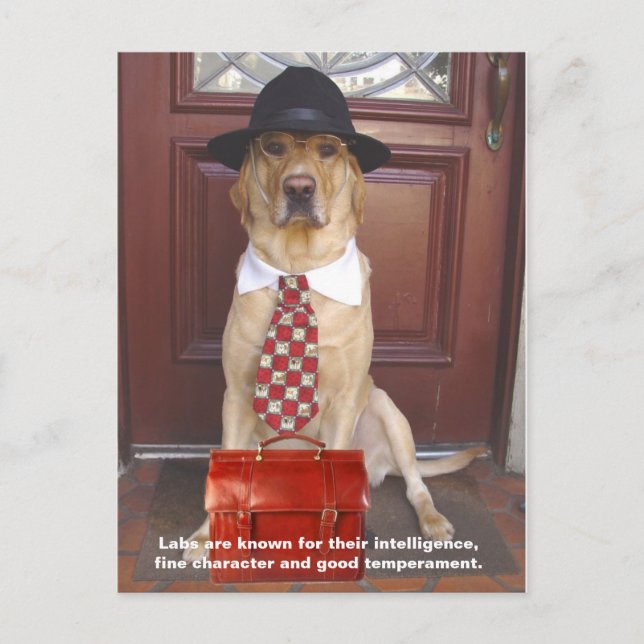 Postal Rasgos de laboratorio - Carácter fino (Anverso)