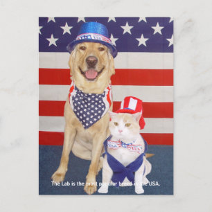 Postal Rasgos de laboratorio - Popular