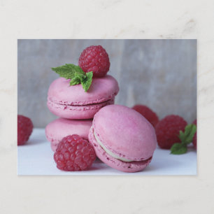 Postal Raspberries Macarons Postcard