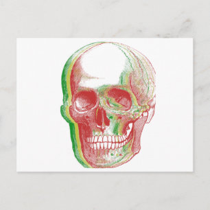 Postal Rasta Skull de tres colores