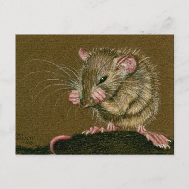 Postal Rat Mad Anda Postcard (Anverso)