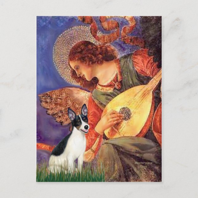 Postal Rat Terrier - Ángel de la Mandolina (Anverso)
