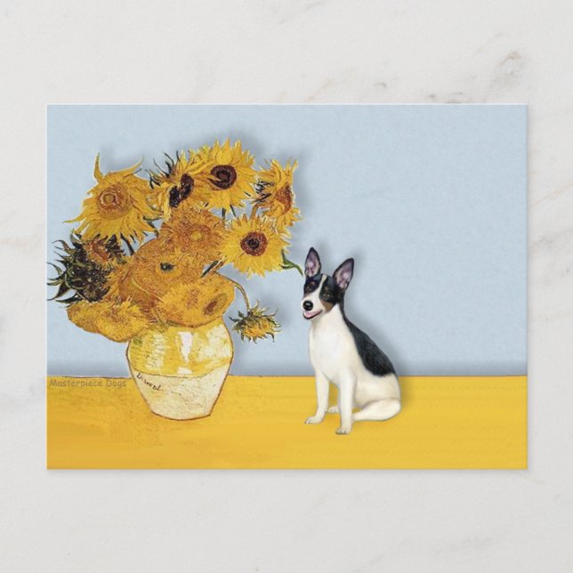 Postal Rat Terrier - girasoles (Anverso)
