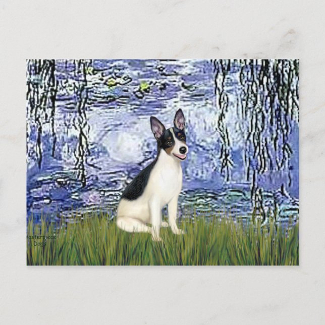 Postal Rat Terrier - Lilies 6 (Anverso)