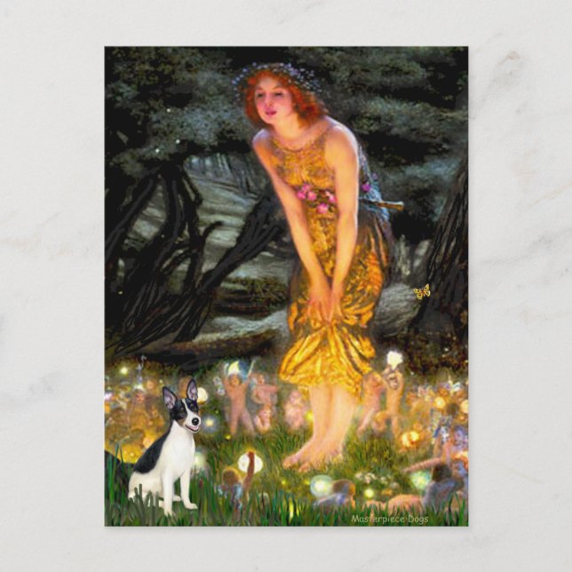 Postal Rat Terrier - Mediados de la Noche (Anverso)