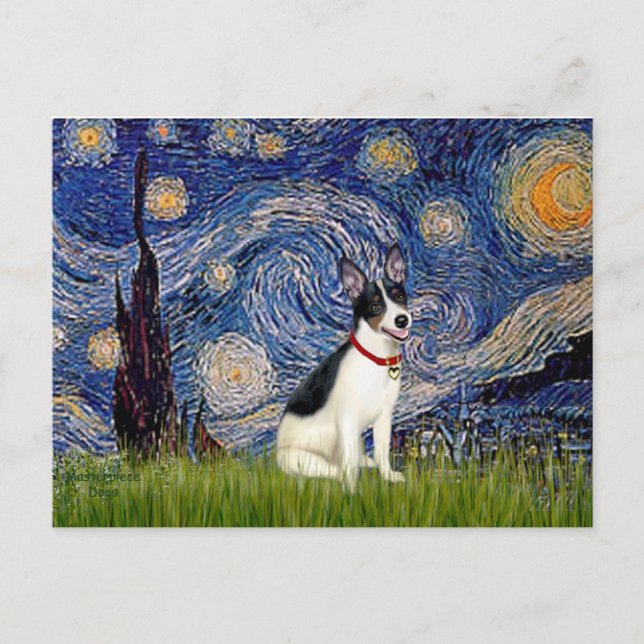 Postal Rat Terrier - Noche estrellada (Anverso)