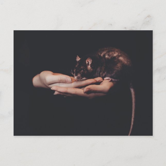 Postal Rata en mano... (Anverso)