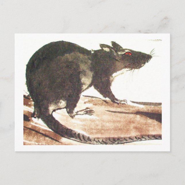 Postal Rata No. 01 * consejo * Ratten-Postkarten* consejo (Anverso)