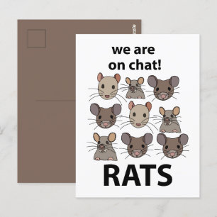 Postal Ratas Animal Estamos En Charla Divertidas Ratas