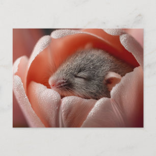 Postal Ratón de Cosecha Durmiendo Dentro de un Tulipán Cu