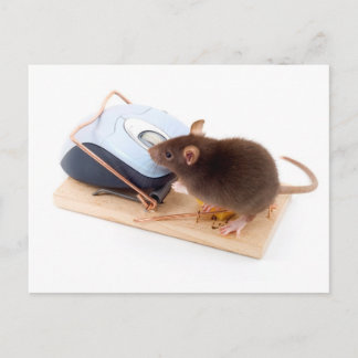 Postal Ratón inteligente