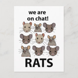 Postal Rats Animal Estamos En Chat Rats Gratis