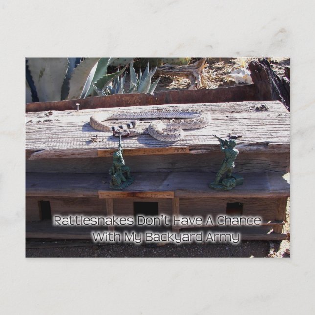 Postal Rattlesnake Diamondback Occidental de Arizona (Anverso)