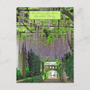 POSTAL RAVELLO, JARDINES ITALIANOS/CIMBRONES/WISTERIA CAS