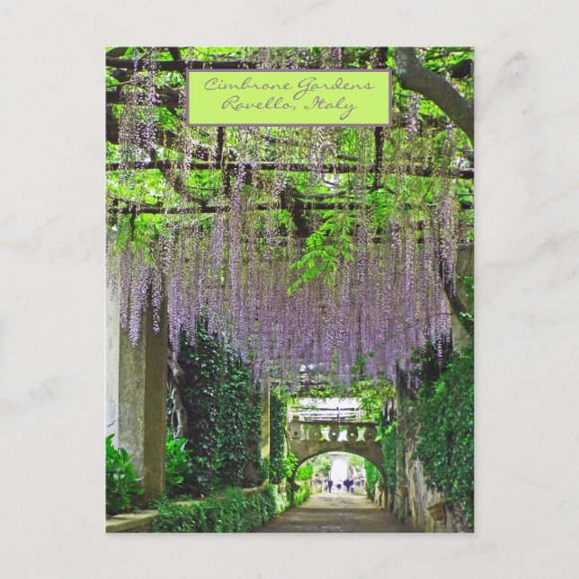 POSTAL RAVELLO, JARDINES ITALIANOS/CIMBRONES/WISTERIA CAS (Anverso)