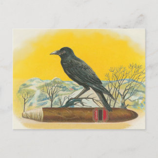 Postal Raven