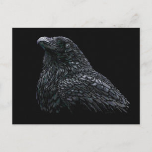 Postal Raven