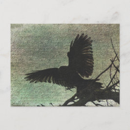 Postal Raven