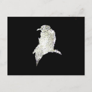 Postal Raven