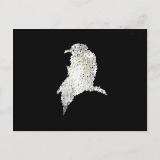 Postal Raven (Anverso)