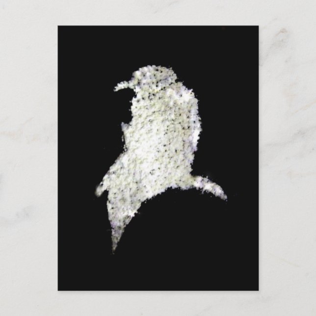 Postal Raven (Anverso)