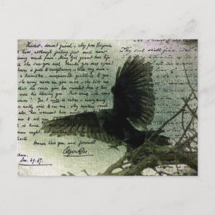 Postal Raven 3