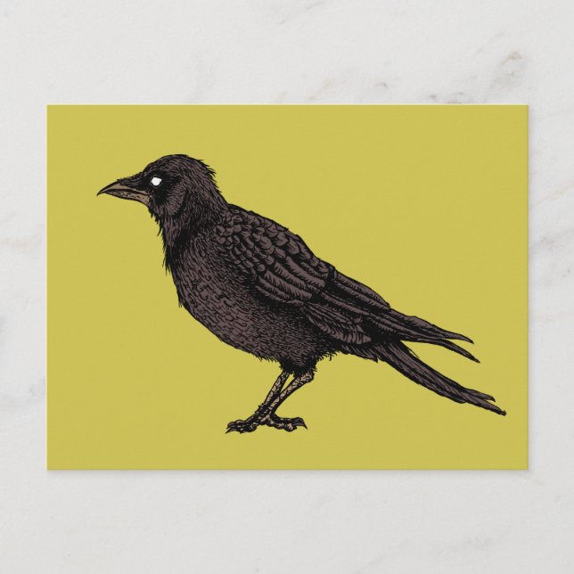 Postal Raven Creepy Crow Bright Gothic Ink Art (Anverso)