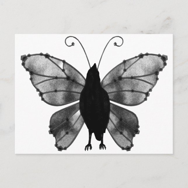 Postal Raven de mariposa blanca y negra (Anverso)