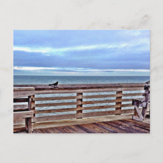 Postal Raven en el muelle de Jennette, Carolina del Norte