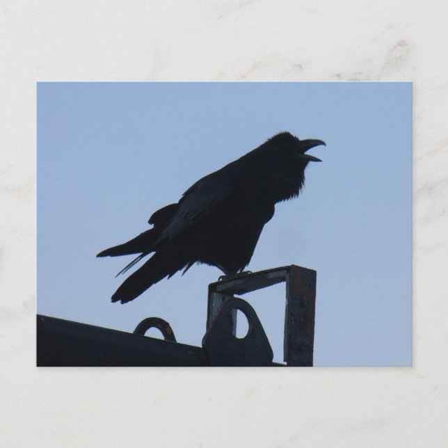 Postal Raven en Silhouette, Isla Unalaska (Anverso)