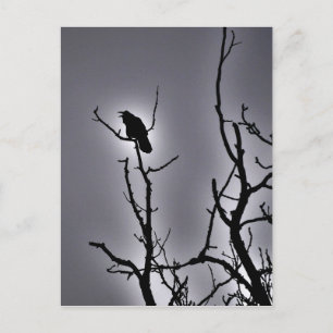 Postal Raven en una noche luna