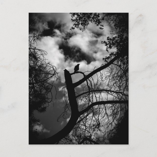 Postal Raven espeluznante (Anverso)