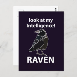 Postal Raven Mira Mi Raven De Inteligencia