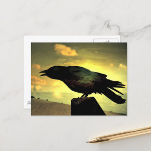 Postal Raven negro