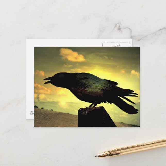 Postal Raven negro (Anverso/Reverso In Situ)