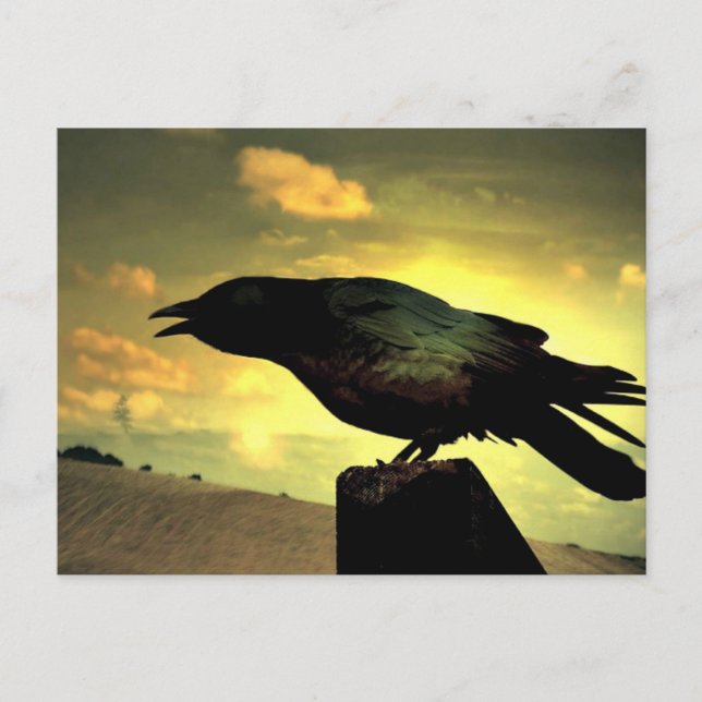 Postal Raven negro (Anverso)