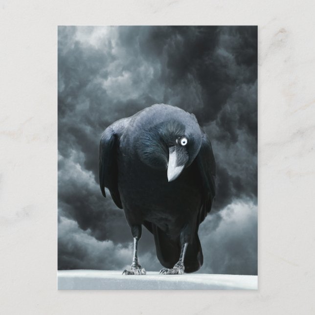 Postal Raven negro (Anverso)