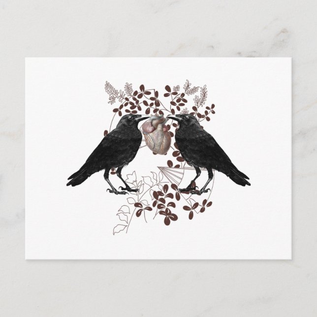 Postal Ravens compitiendo por el corazón (Anverso)