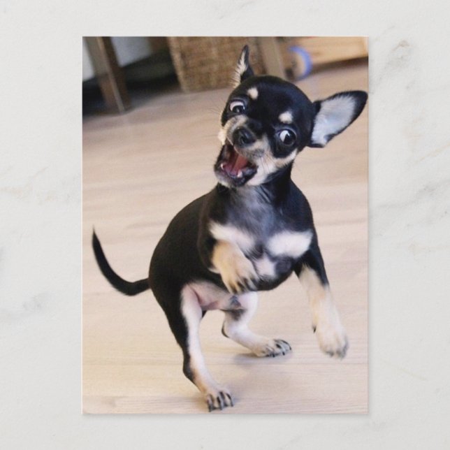 Postal Rawr (Anverso)