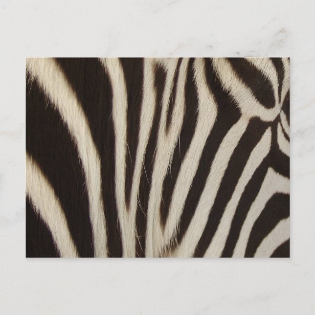 Postal Rayas de Z (Anverso)