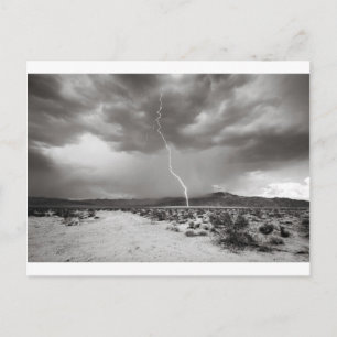 Postal Rayo Joshua Tree B&W