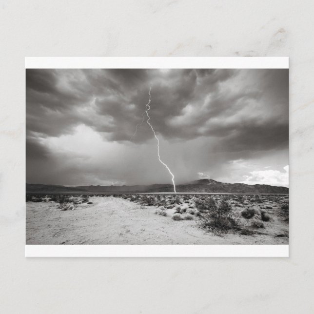 Postal Rayo Joshua Tree B&W (Anverso)