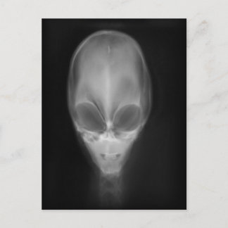 Postal Rayo X Alien Skull