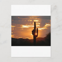 Postal Rayos de Saguaro
